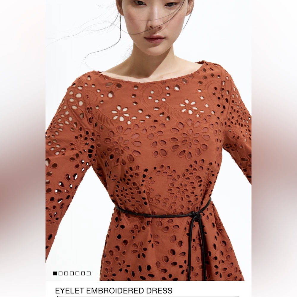 H&M Brown Long Sleeve Eyelet Dress - Picture 4 of 10